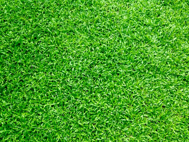 Artificial-Grass